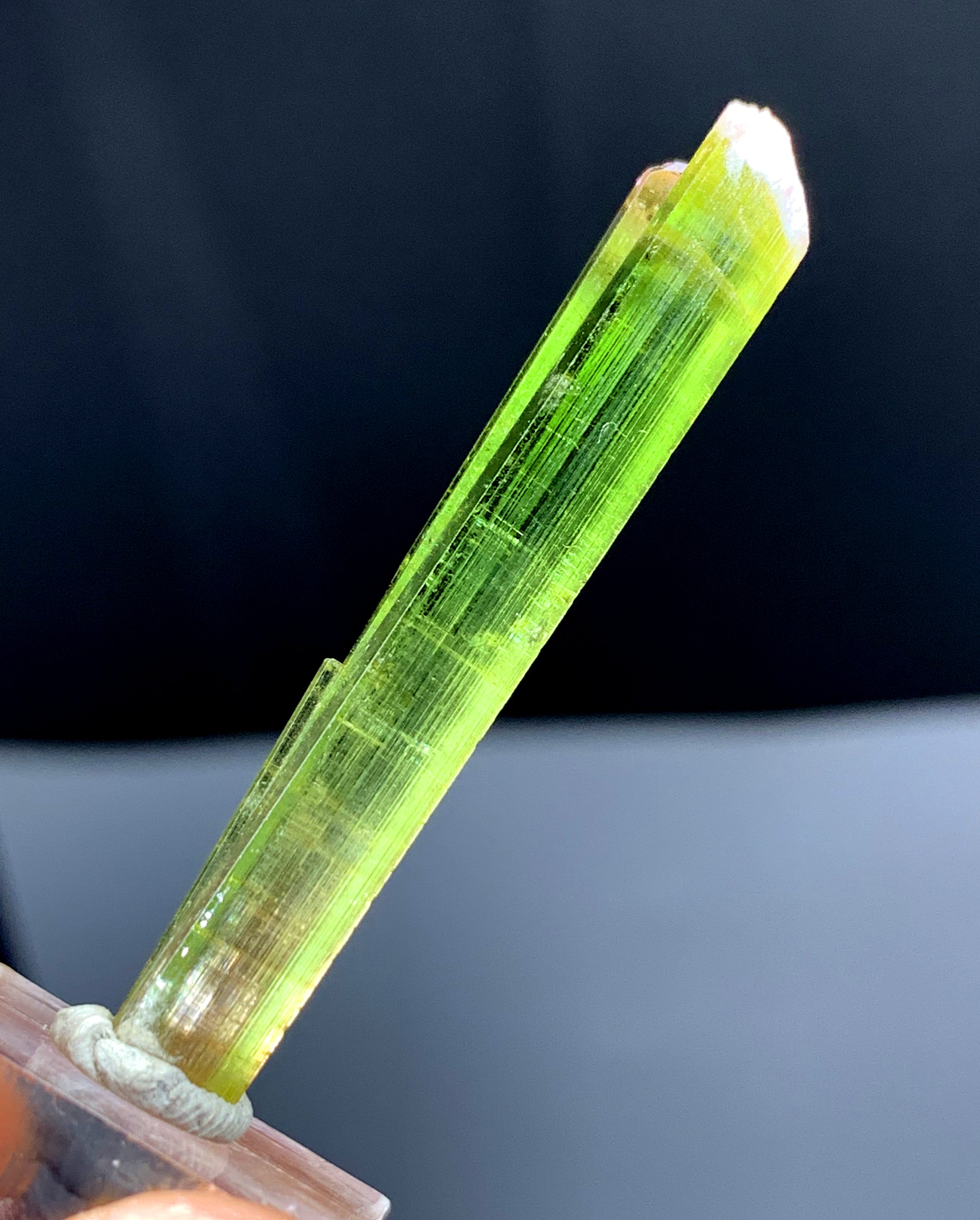 Watermelon Tourmaline Crystal from Paprok Afghanistan - 19.20 carats