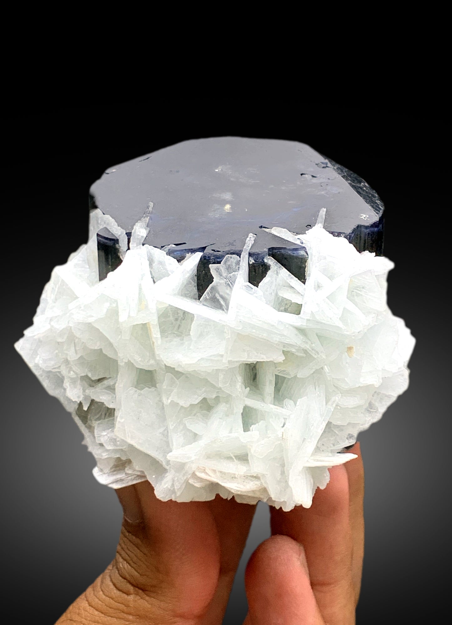 Blue Cap Tourmaline Crystal with Cleavelandite Albite, Paprok Tourmaline, Tourmaline Specimen, Fine Mineral - 428 gram