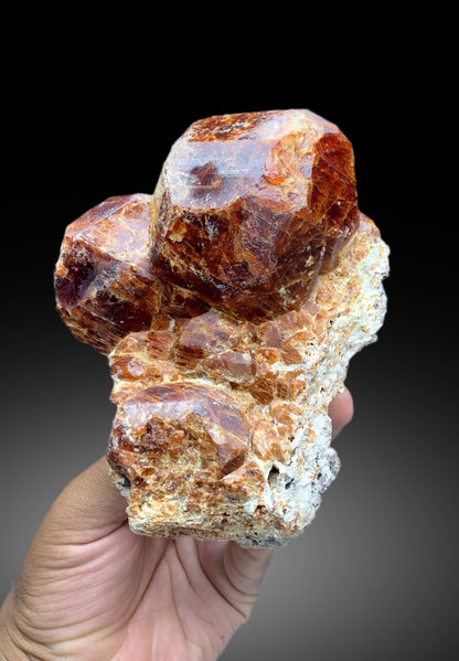 Museum Grade Hessonite Garnet Specimen - 1222 gram
