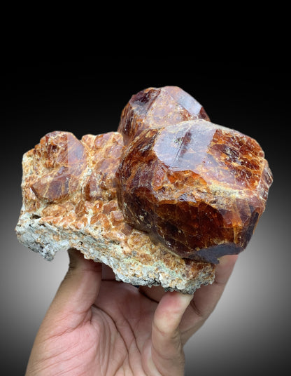 Museum Grade Hessonite Garnet Specimen - 1222 gram