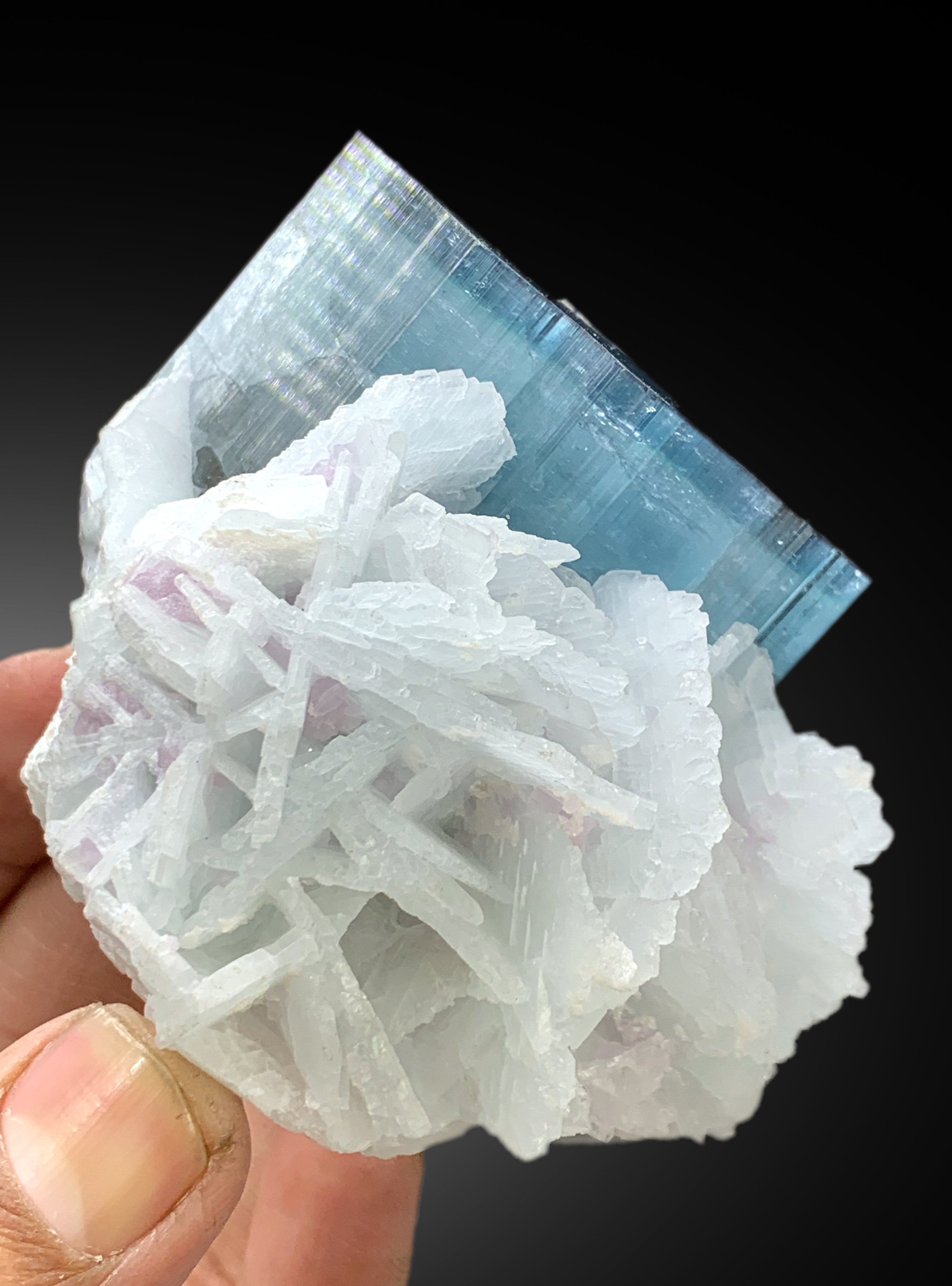 Neon Blue Tourmaline with Cleavelandite Albite Karankarey Mine, Kunar Afghanistan - 377 gram