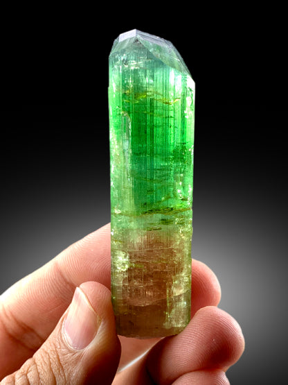 reserved tourmaline