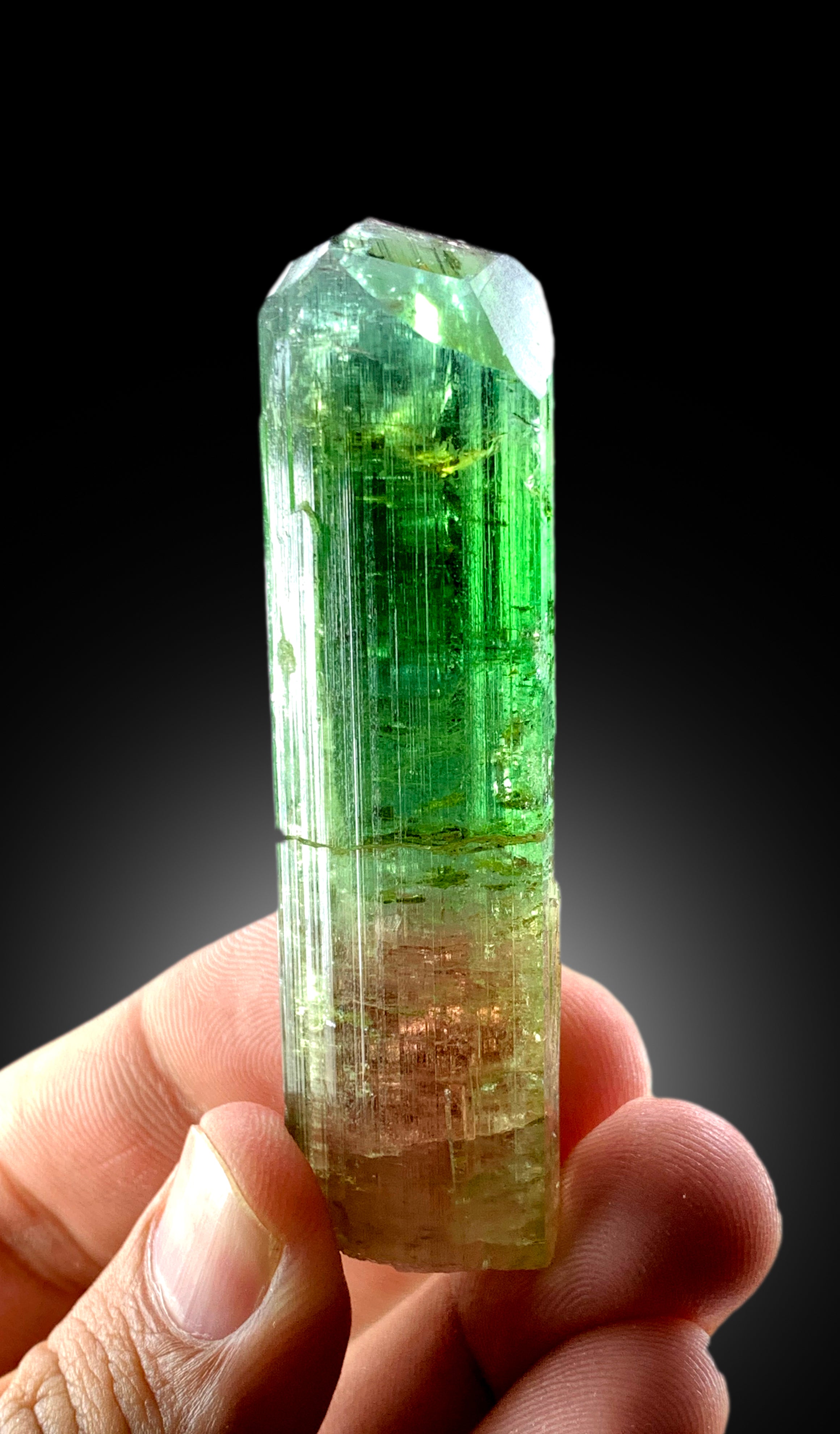 Natural Terminated Bicolor Tourmaline Crystal, Raw Mineral, Crystal Specimen, Tourmaline from Paprok Afghanistan - 55 gram