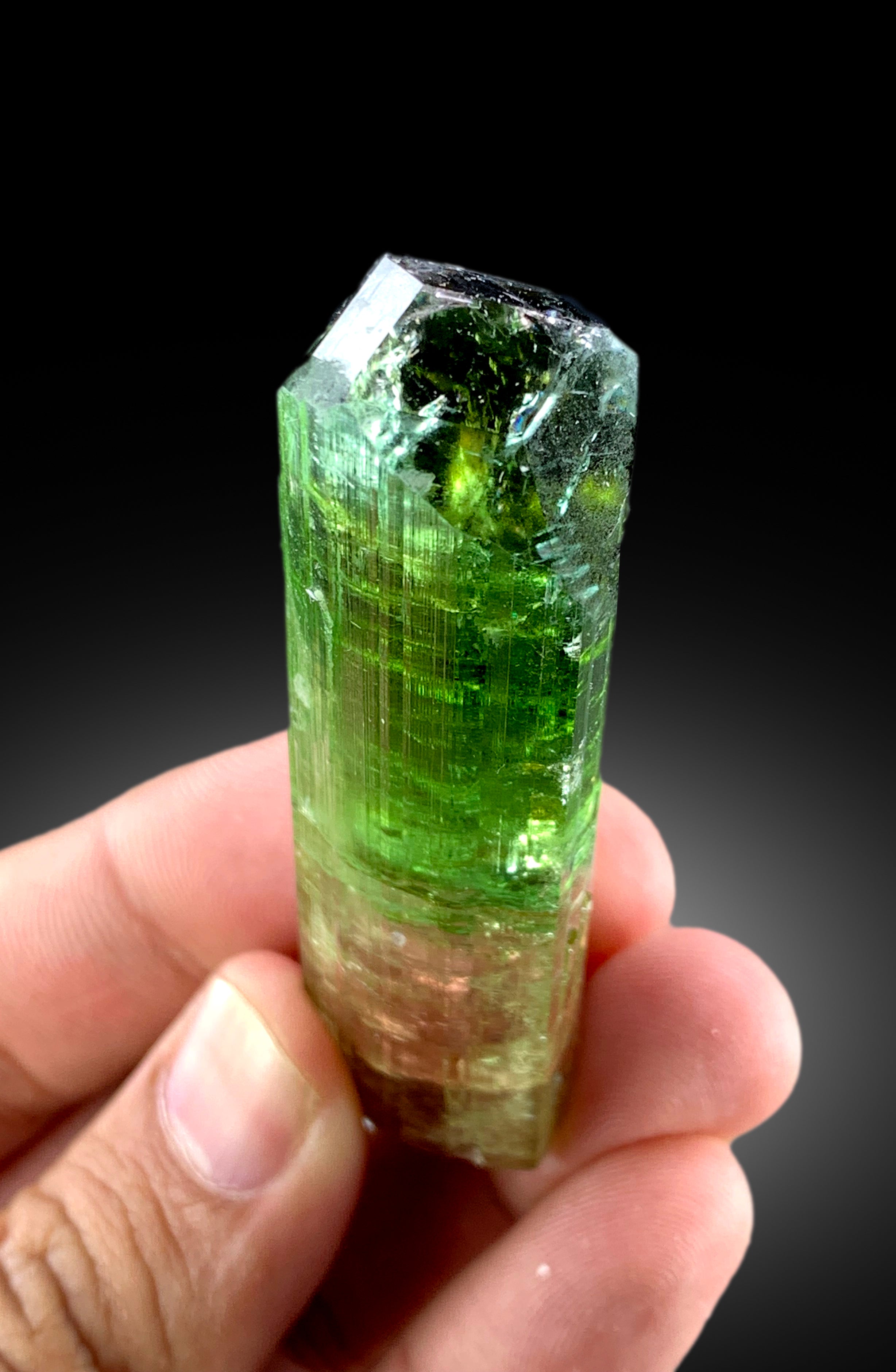 Natural Terminated Bicolor Tourmaline Crystal, Raw Mineral, Crystal Specimen, Tourmaline from Paprok Afghanistan - 55 gram