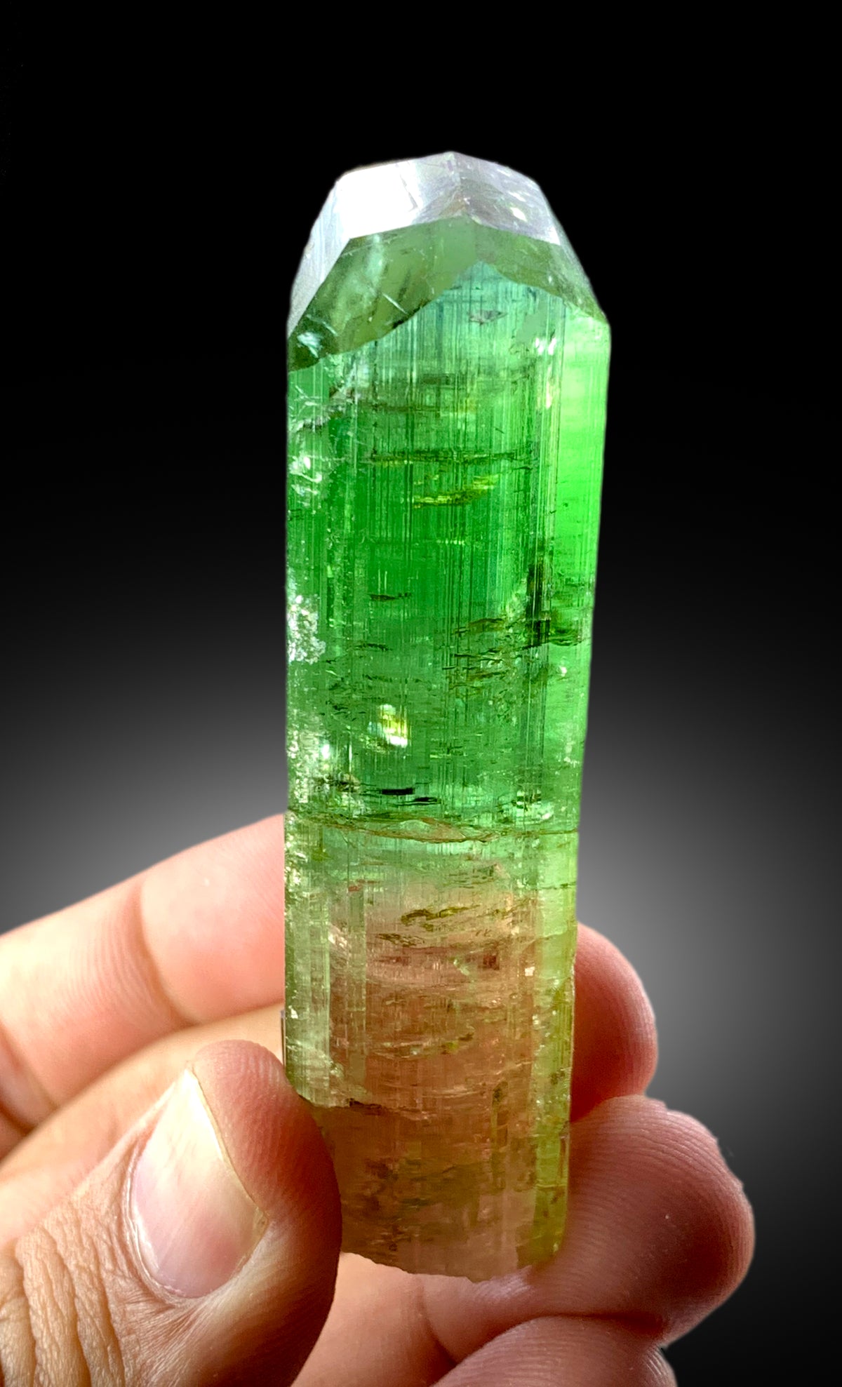 Natural Terminated Bicolor Tourmaline Crystal, Raw Mineral, Crystal Specimen, Tourmaline from Paprok Afghanistan - 55 gram