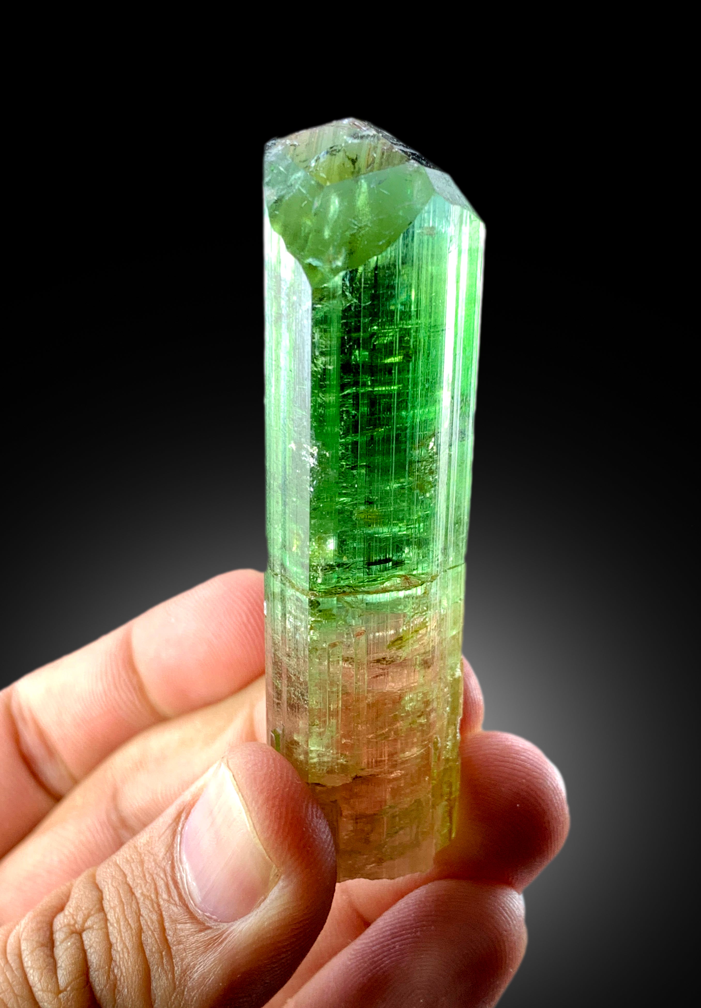 Natural Terminated Bicolor Tourmaline Crystal, Raw Mineral, Crystal Specimen, Tourmaline from Paprok Afghanistan - 55 gram