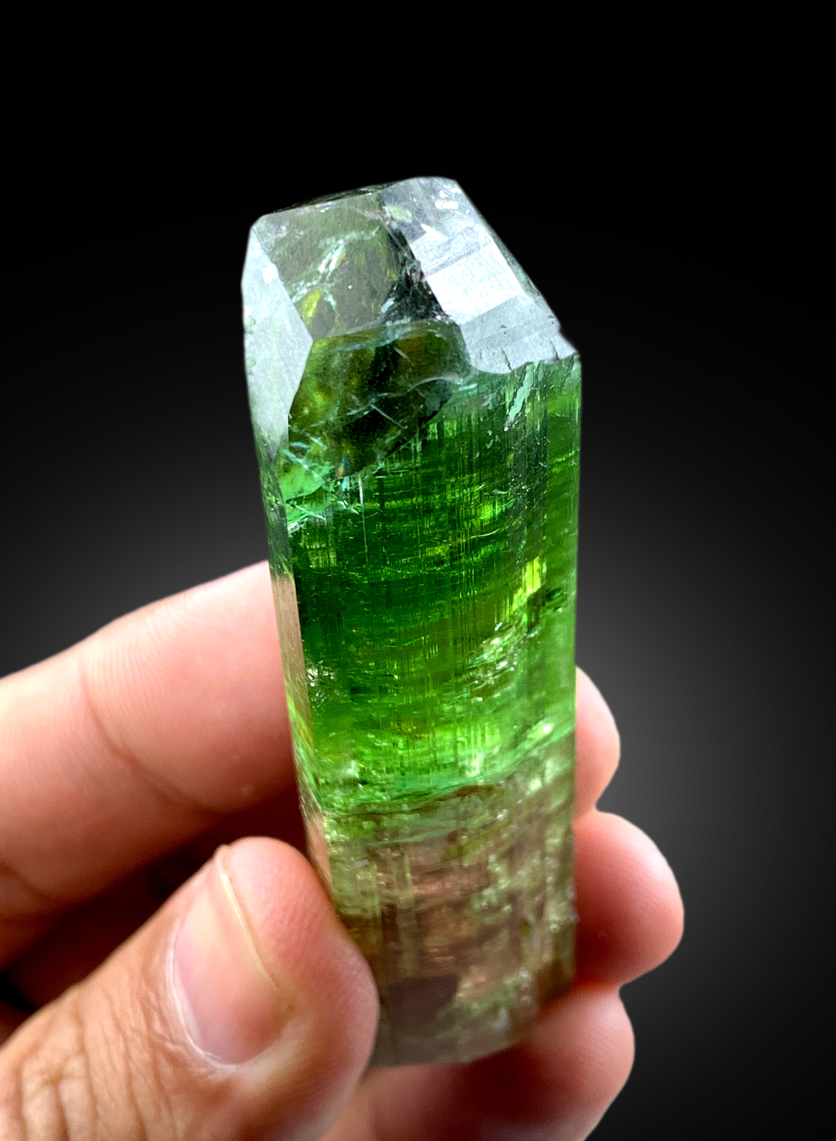 Natural Terminated Bicolor Tourmaline Crystal, Raw Mineral, Crystal Specimen, Tourmaline from Paprok Afghanistan - 55 gram