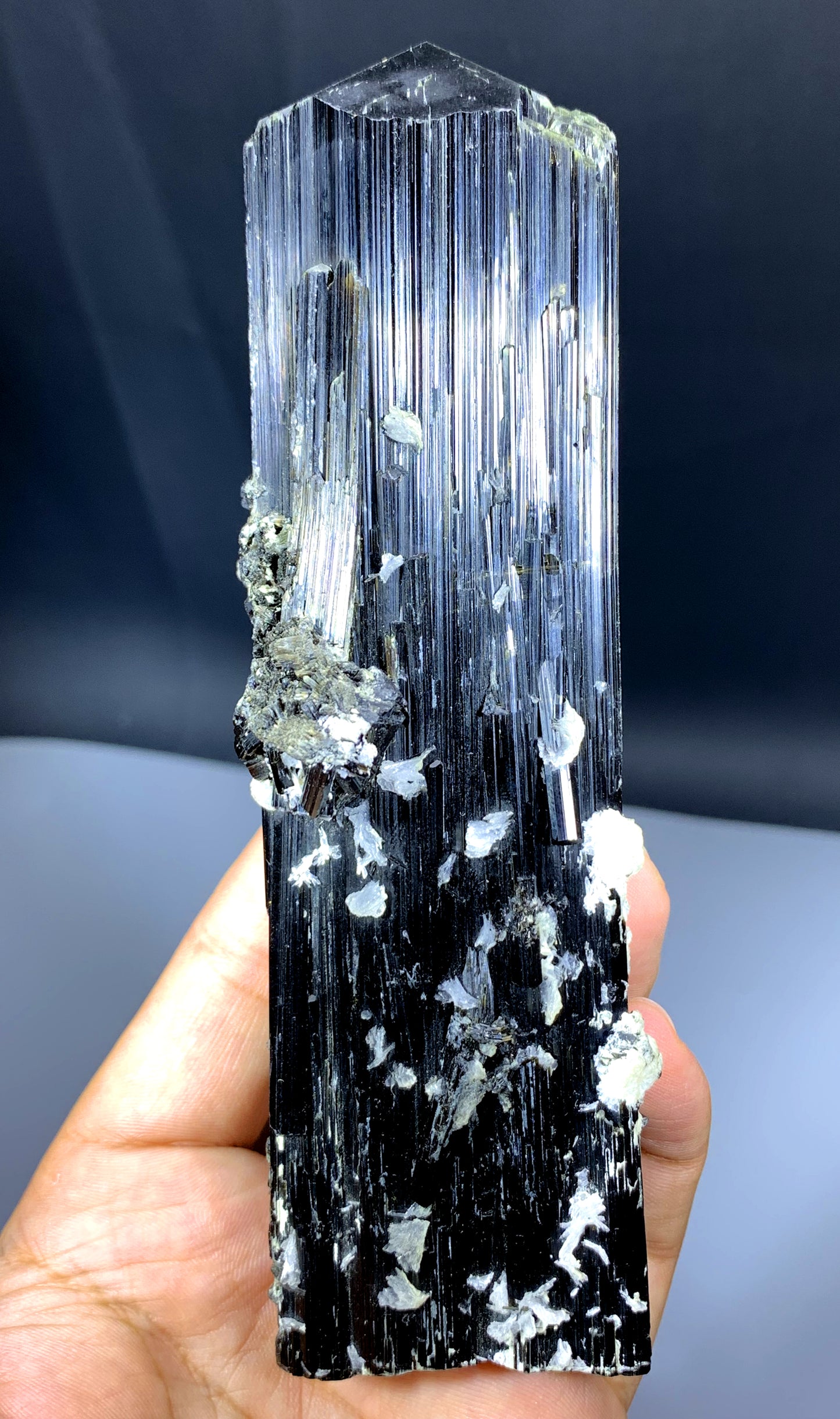 Well Terminated Schorl Black Tourmaline Crystal from Skardu Pakistan - 467 gram