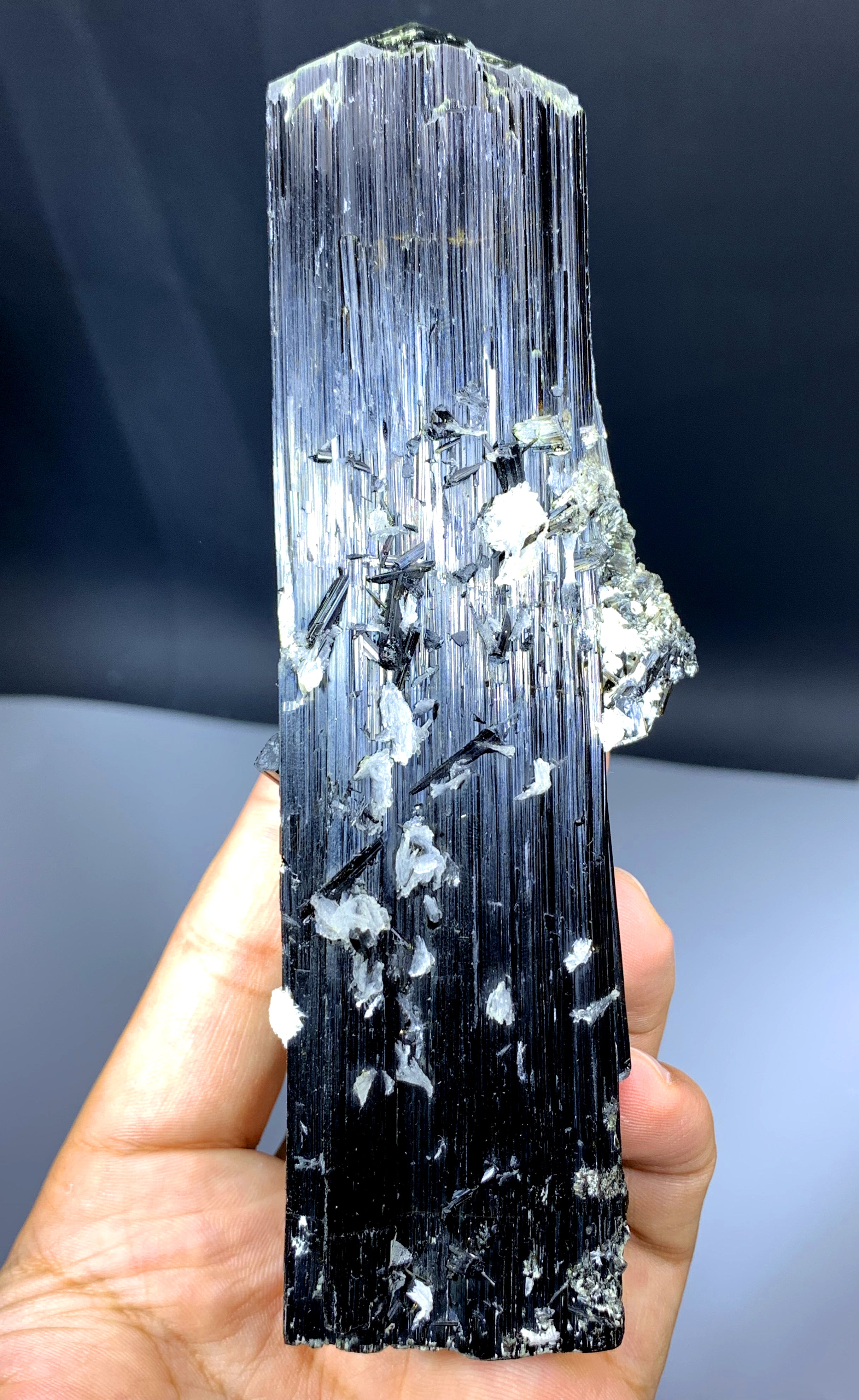 Well Terminated Schorl Black Tourmaline Crystal from Skardu Pakistan - 467 gram