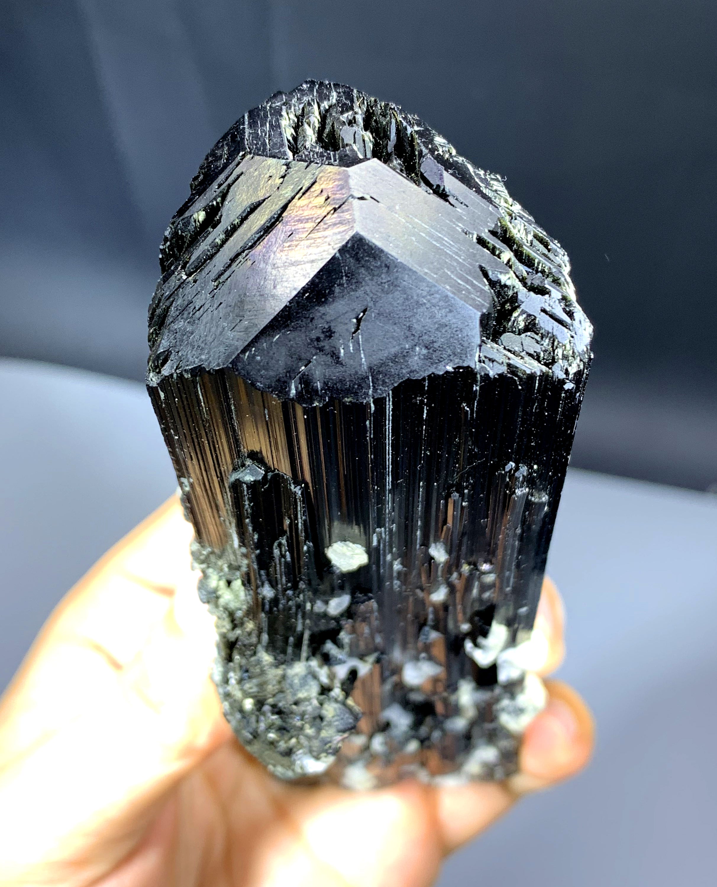 Well Terminated Schorl Black Tourmaline Crystal from Skardu Pakistan - 467 gram