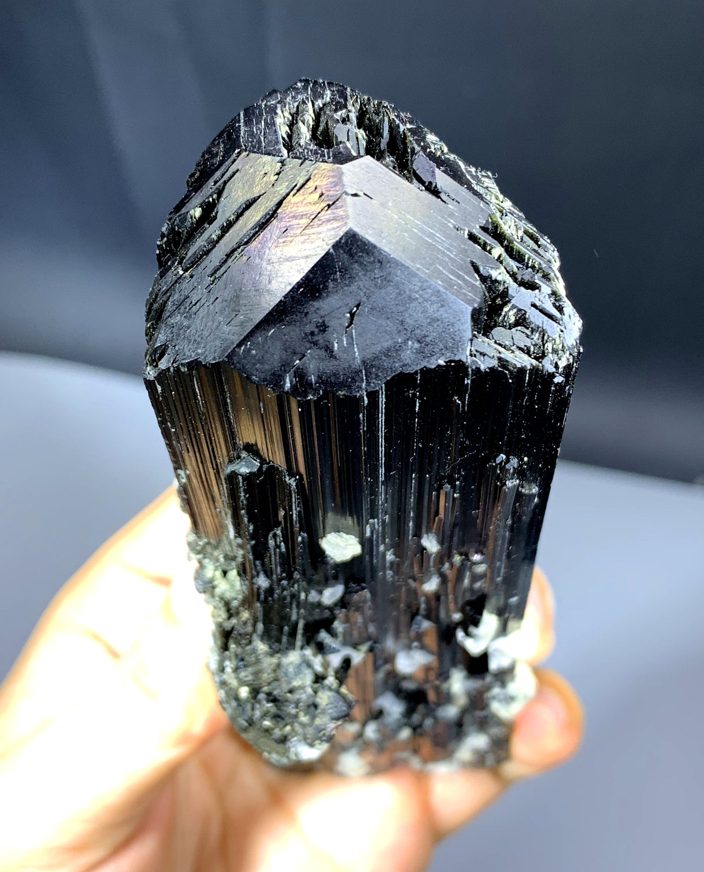 Well Terminated Schorl Black Tourmaline Crystal from Skardu Pakistan - 467 gram