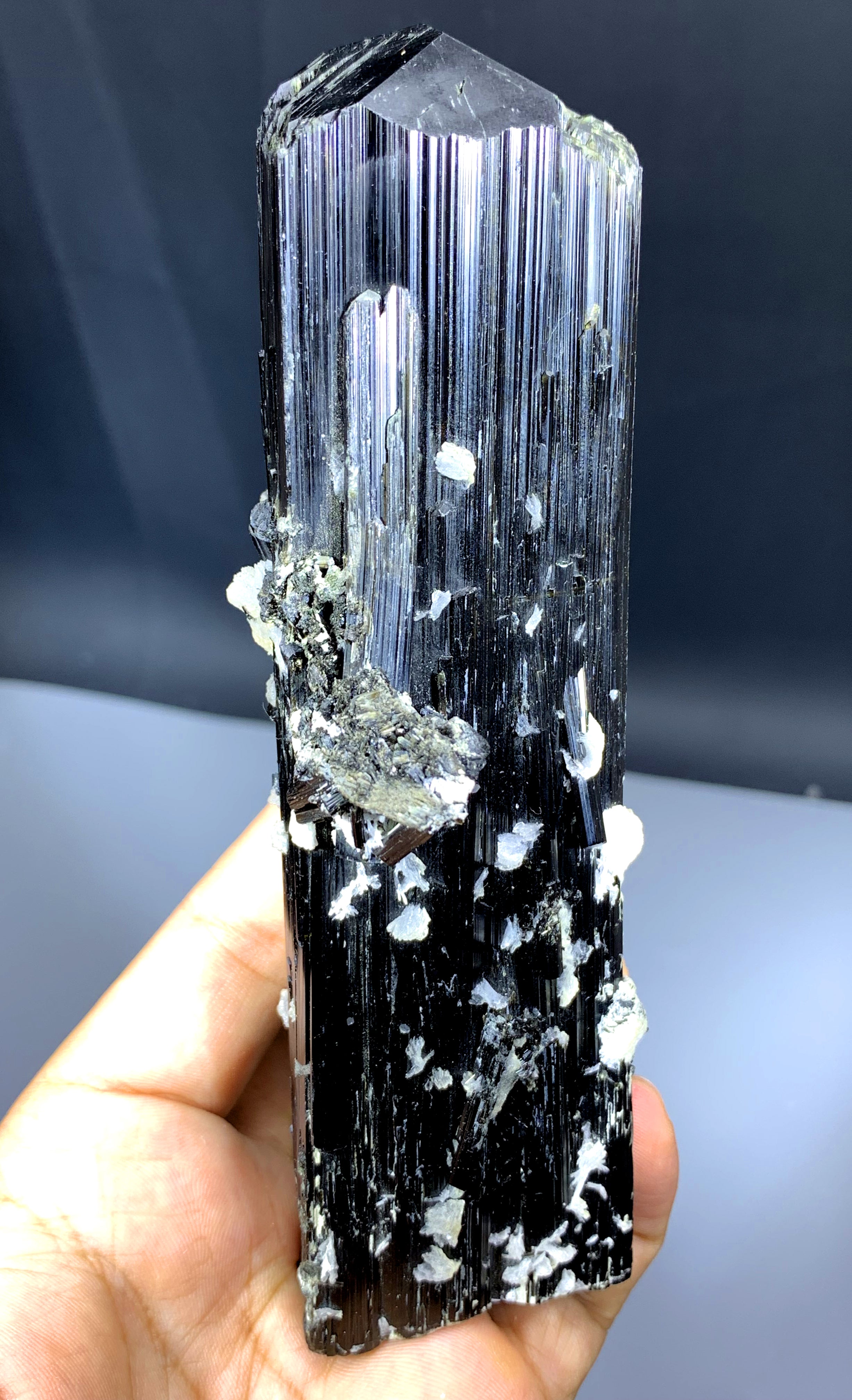 Well Terminated Schorl Black Tourmaline Crystal from Skardu Pakistan - 467 gram