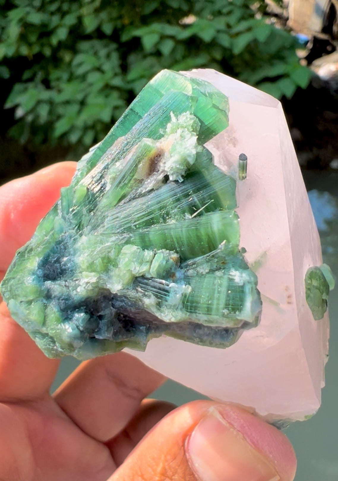 Pink Morganite with Green Tourmalines from Afghanistan - 227 gram