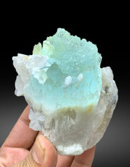 Bicolor Beryl, AquaMorganite Crystal with Quartz, Morganite var Aquamarine with Etched Terminations, Scepter AquaMorganite Specimen, 417 g