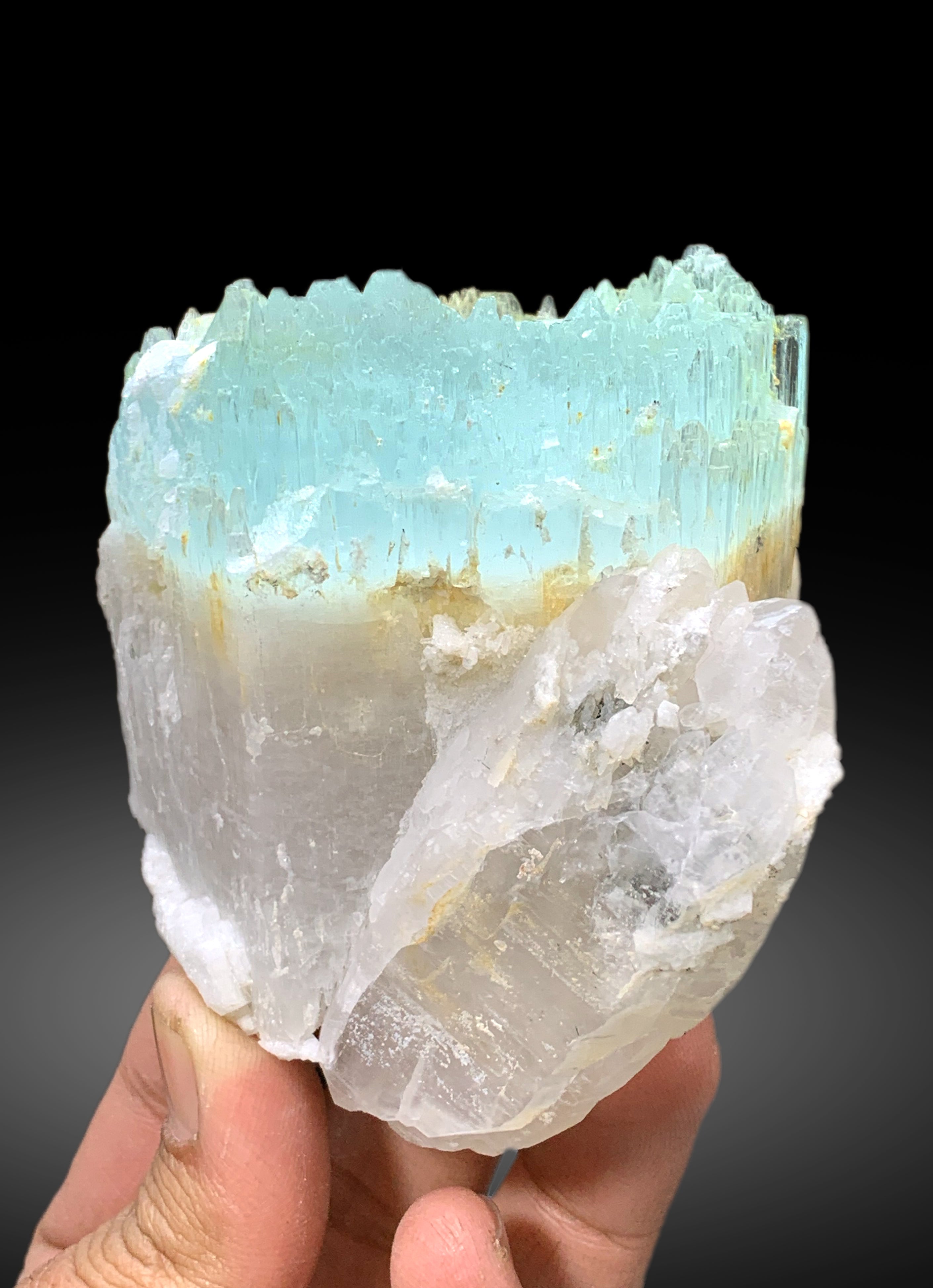 Bicolor Beryl, AquaMorganite Crystal with Quartz, Morganite var Aquamarine with Etched Terminations, Scepter AquaMorganite Specimen, 417 g