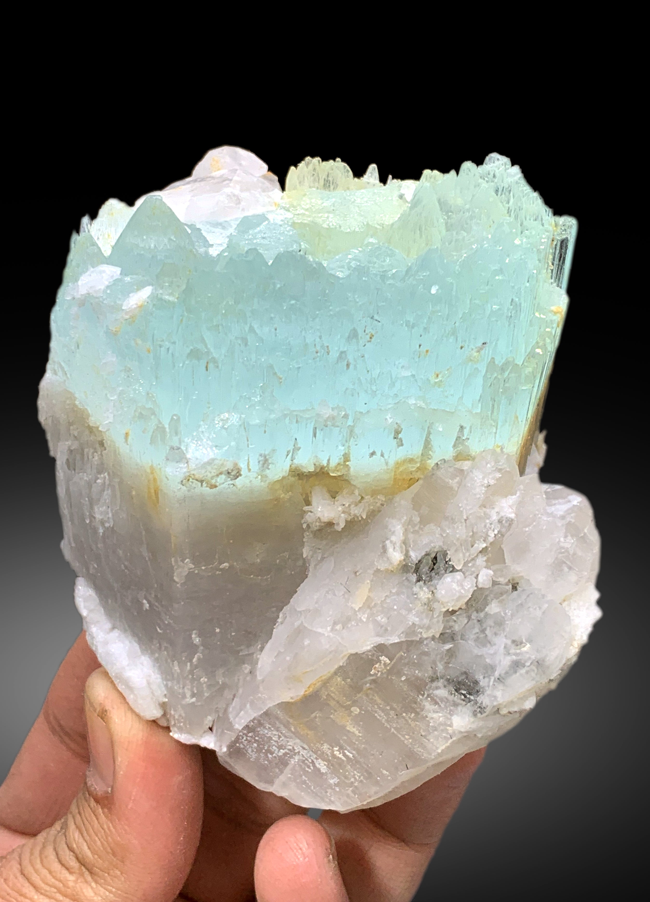 Bicolor Beryl, AquaMorganite Crystal with Quartz, Morganite var Aquamarine with Etched Terminations, Scepter AquaMorganite Specimen, 417 g