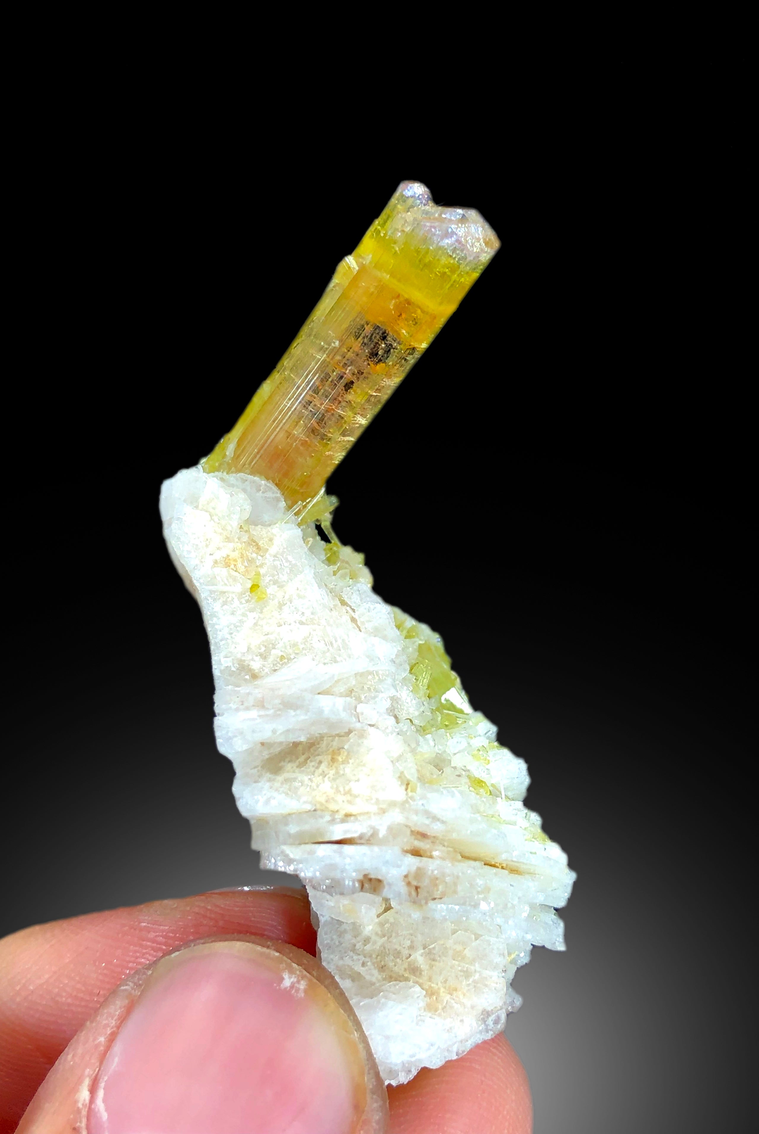 Natural watermelon Tourmaline Crystals with Albite, Tourmaline Specimen, Raw Mineral, Tourmaline from Paprok Afghanistan - 13 gram