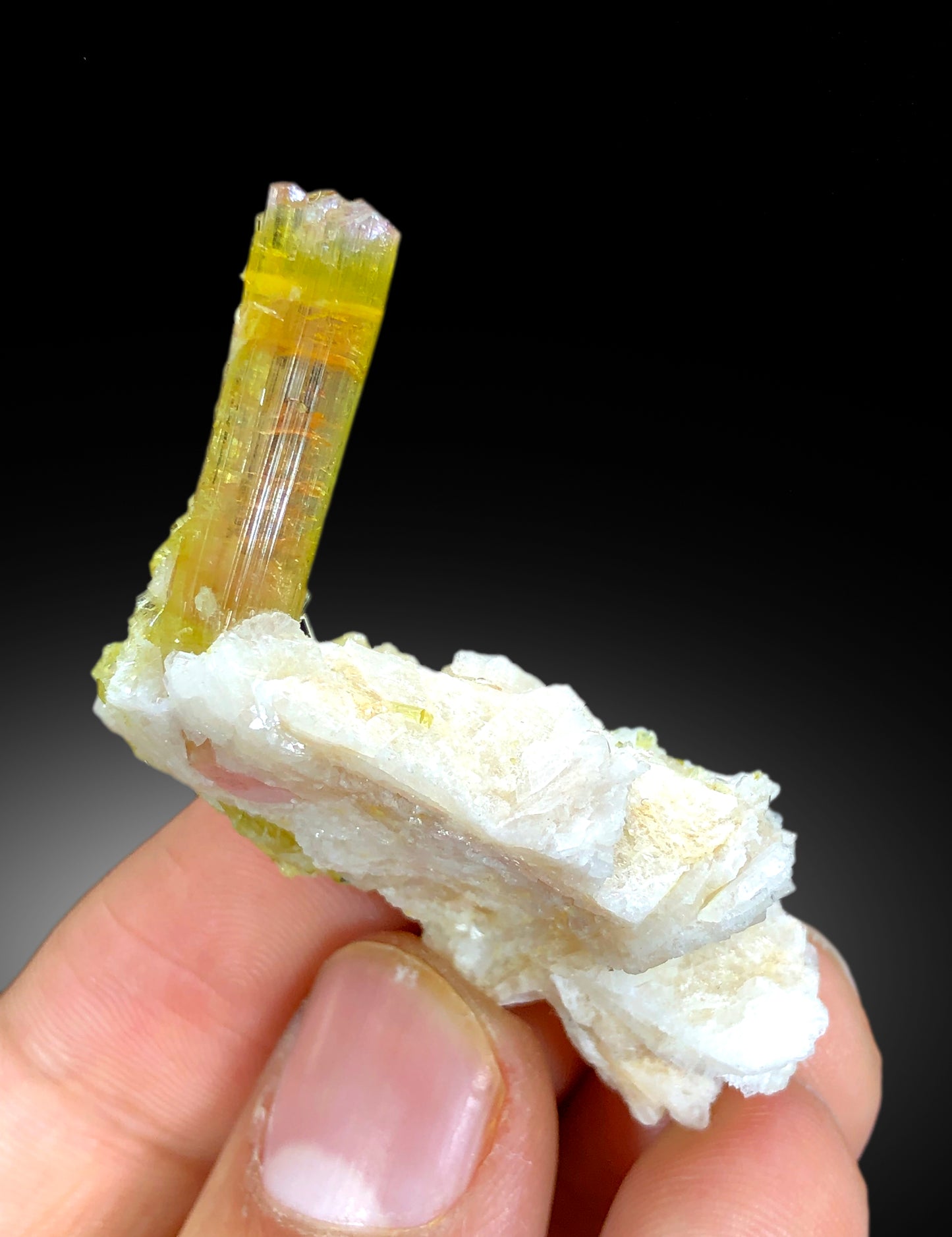 Natural watermelon Tourmaline Crystals with Albite, Tourmaline Specimen, Raw Mineral, Tourmaline from Paprok Afghanistan - 13 gram