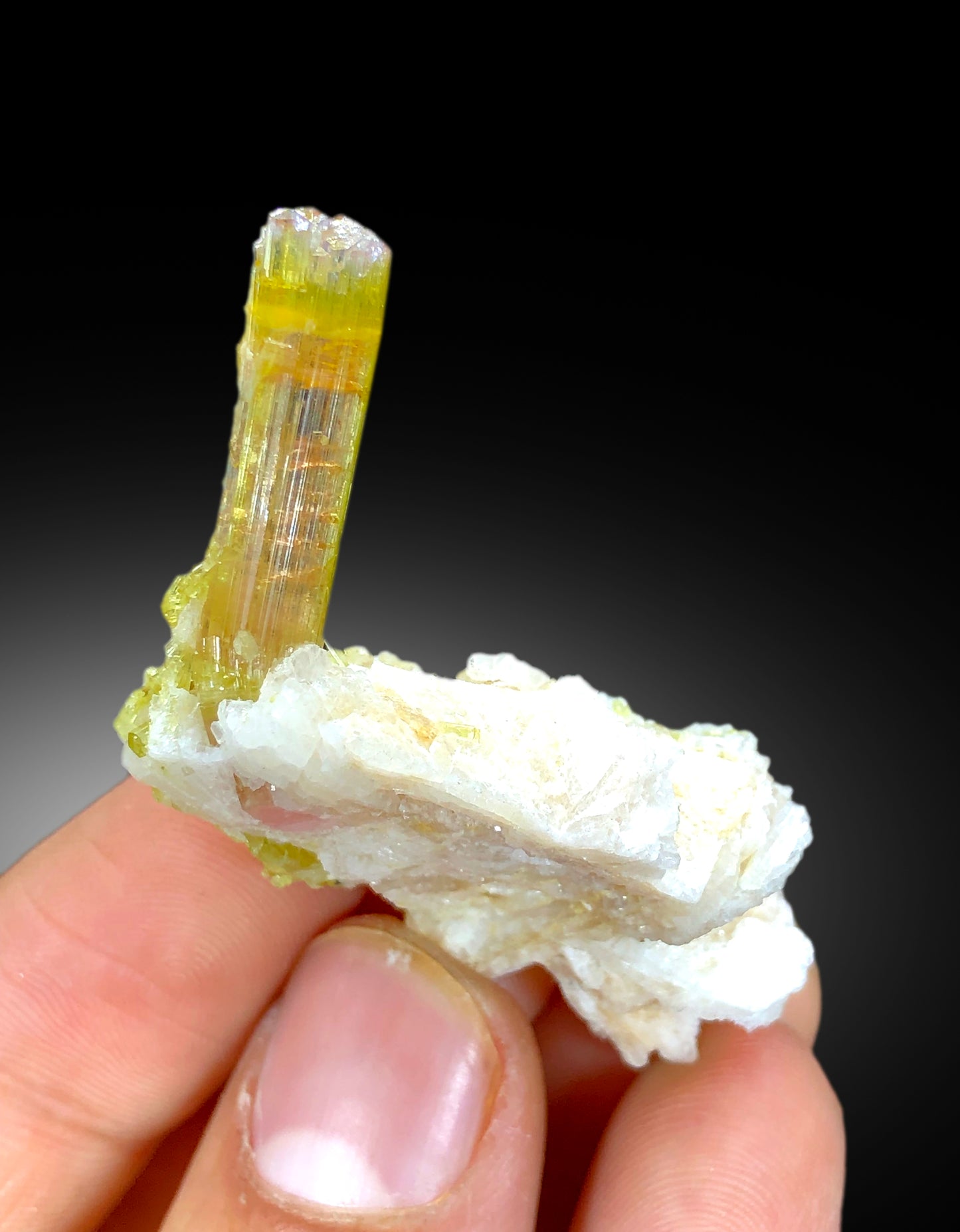 Natural watermelon Tourmaline Crystals with Albite, Tourmaline Specimen, Raw Mineral, Tourmaline from Paprok Afghanistan - 13 gram