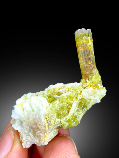 Natural watermelon Tourmaline Crystals with Albite, Tourmaline Specimen, Raw Mineral, Tourmaline from Paprok Afghanistan - 13 gram
