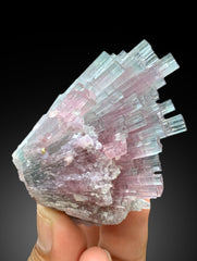 Cotton Candy Tourmaline Bunch, Tourmaline Cluster, Bicolor Tourmaline, Crystals Cluster, Afghan Tourmaline - 102 gram