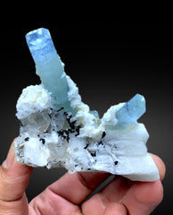 Sky Blue Aquamarine Crystals with Topaz, Schorl and Feldspar Specimen from Pakistan - 182 gram