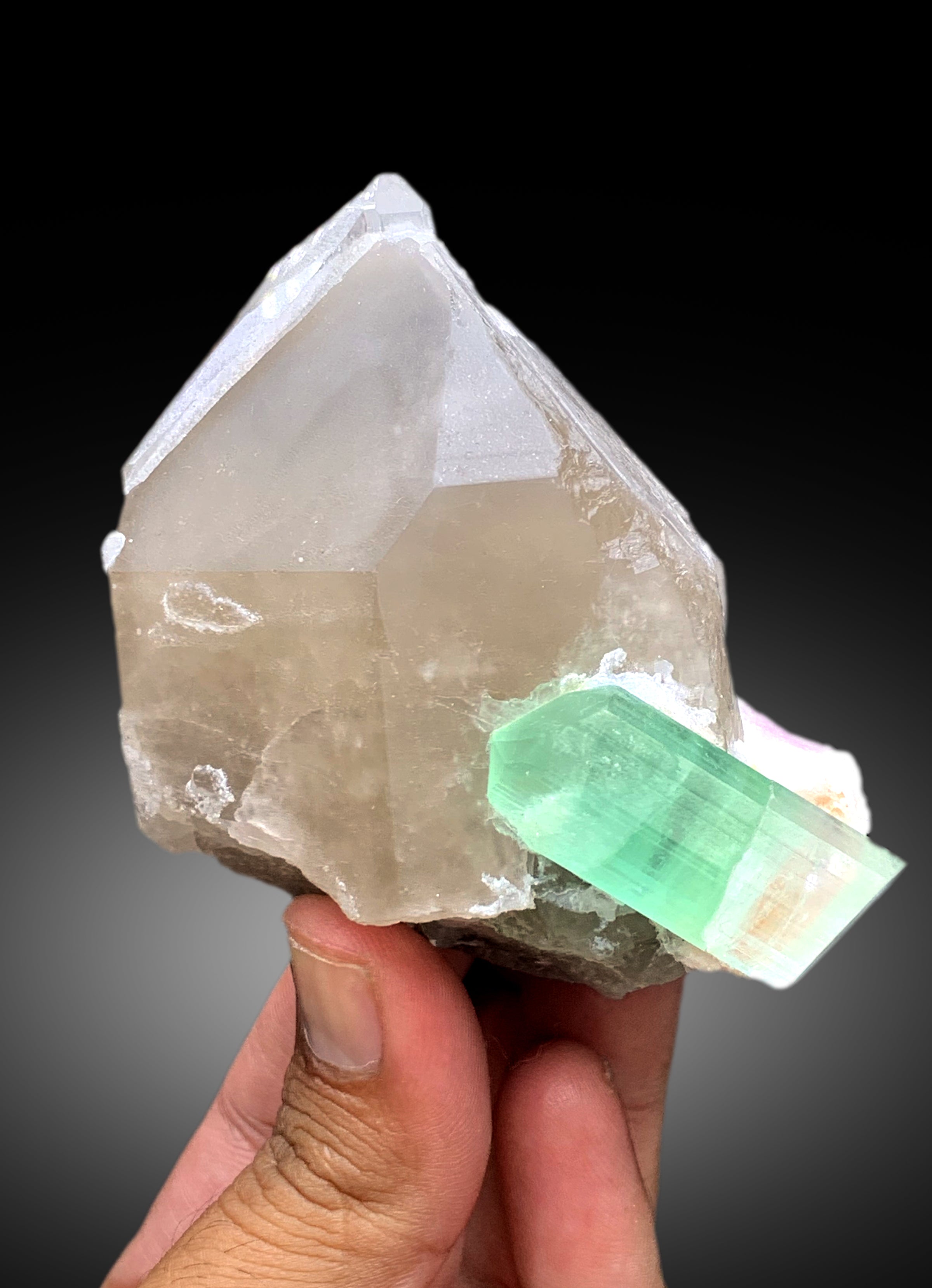 Amazing Bicolor Tourmaline Crystal on Smoky Quartz from Paprok Afghanistan - 338 gram