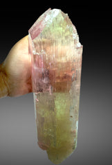 Museum Grade Bicolor Kunzite Crystal from Afghanistan - 4.5 Kg