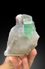 Amazing Bicolor Tourmaline Crystal on Smoky Quartz from Paprok Afghanistan - 338 gram