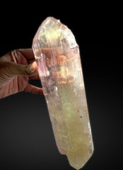 Museum Grade Bicolor Kunzite Crystal from Afghanistan - 4.5 Kg