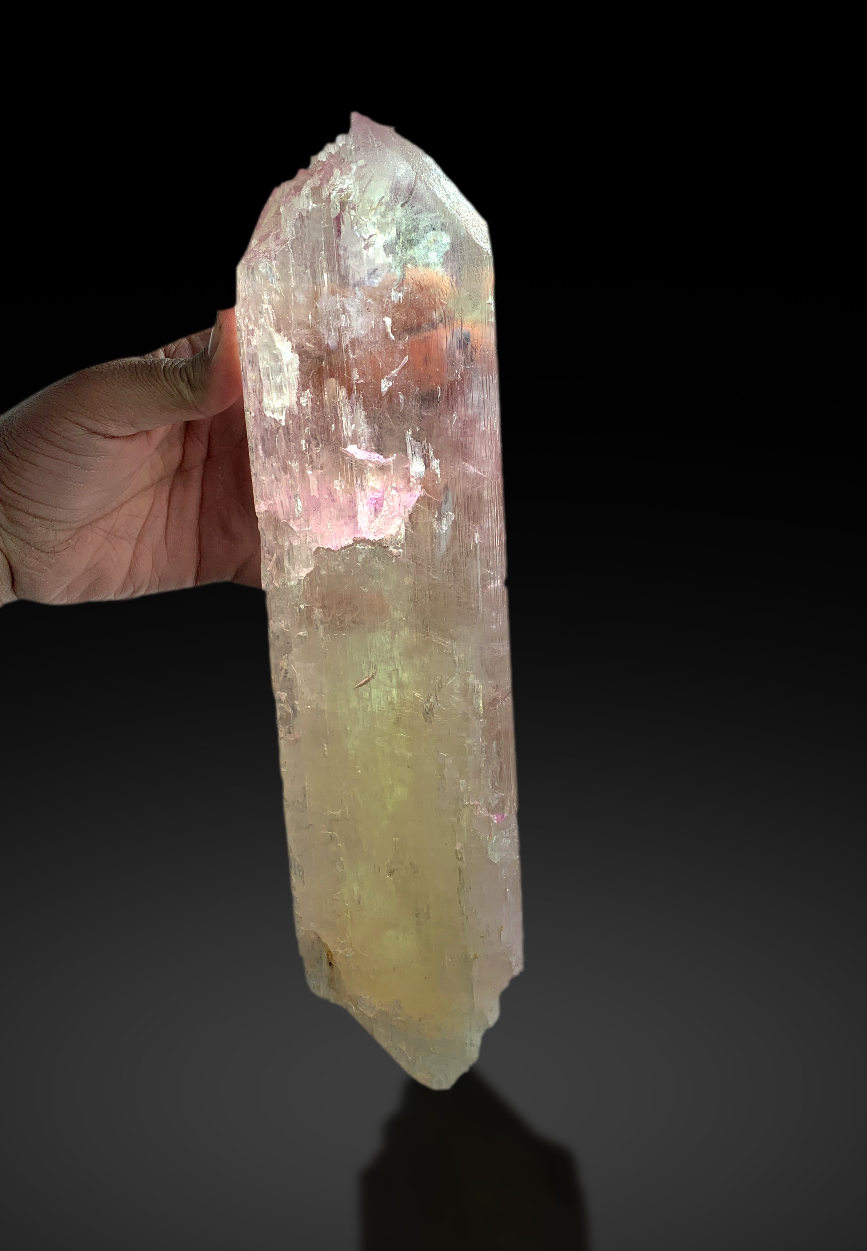 Museum Grade Bicolor Kunzite Crystal from Afghanistan - 4.5 Kg