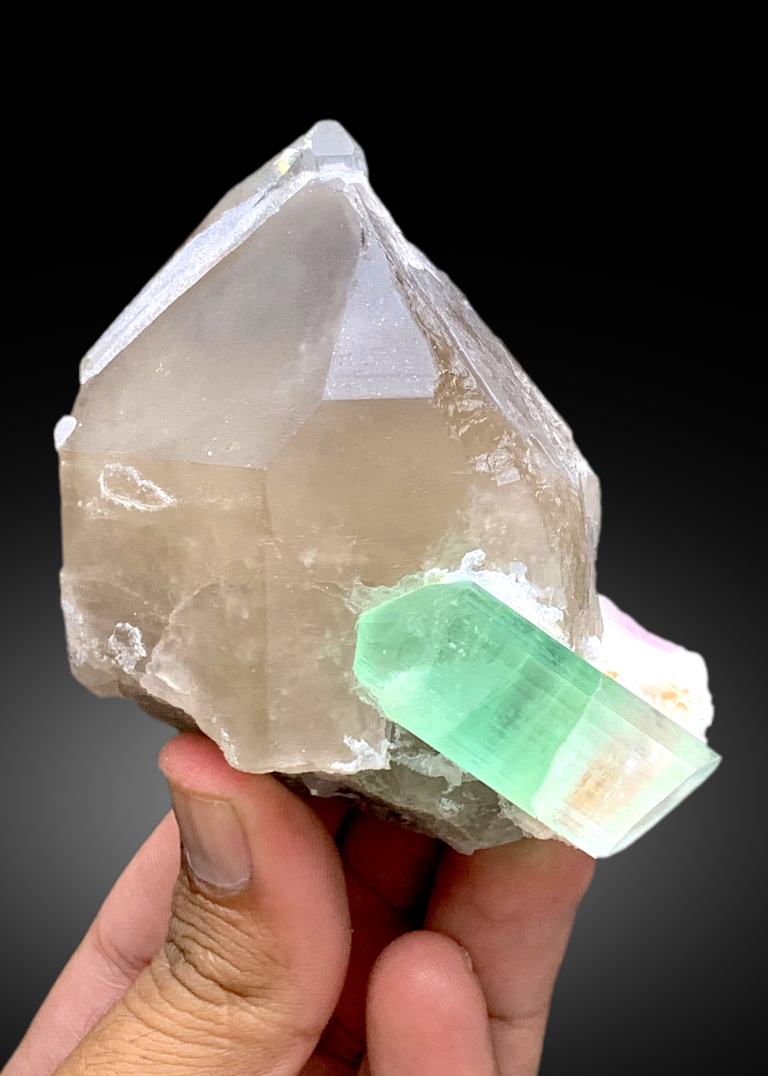 Amazing Bicolor Tourmaline Crystal on Smoky Quartz from Paprok Afghanistan - 338 gram