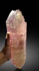 Museum Grade Bicolor Kunzite Crystal from Afghanistan - 4.5 Kg