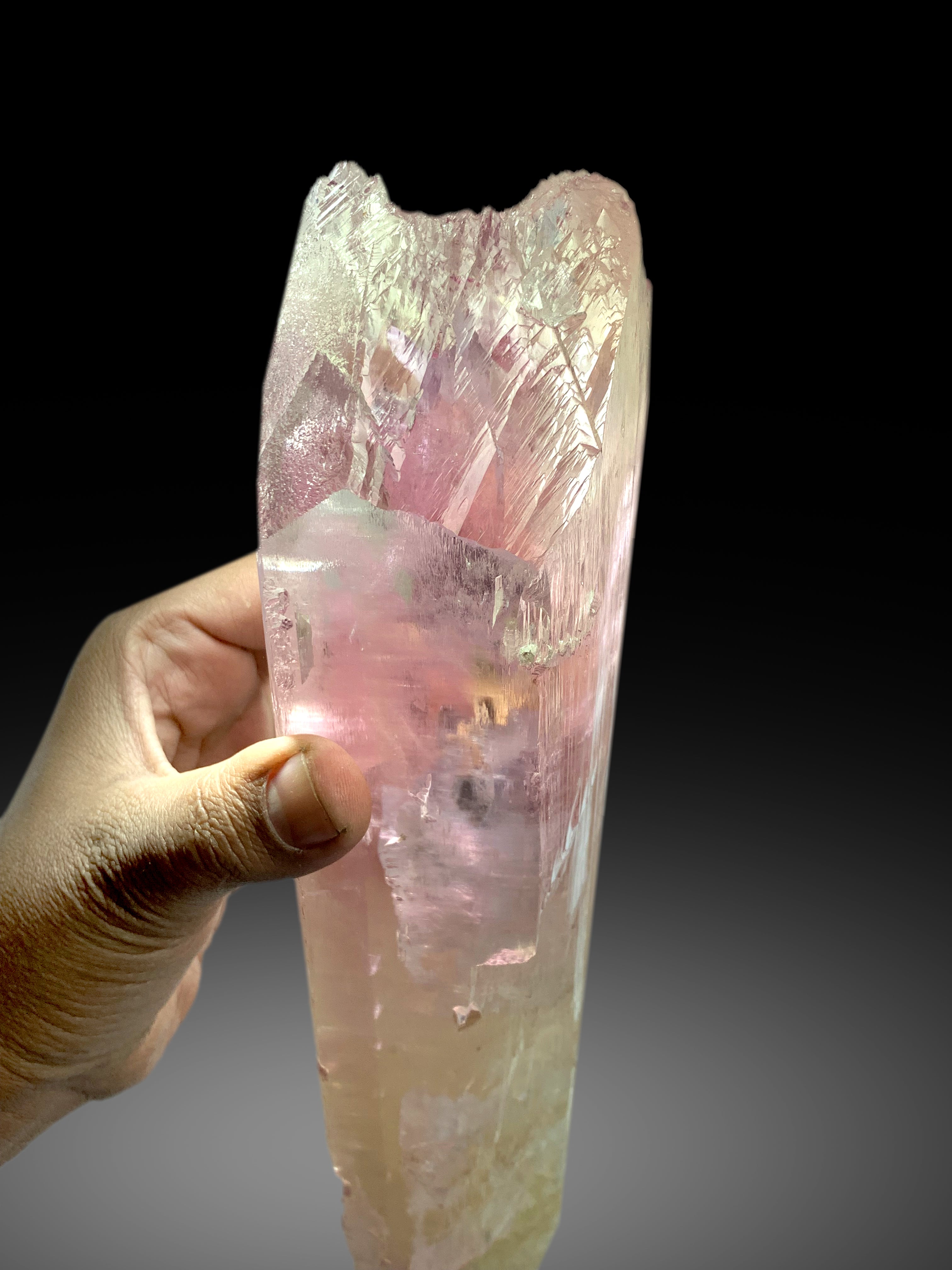 Museum Grade Bicolor Kunzite Crystal from Afghanistan - 4.5 Kg