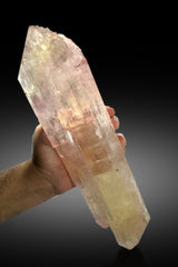 Museum Grade Bicolor Kunzite Crystal from Afghanistan - 4.5 Kg