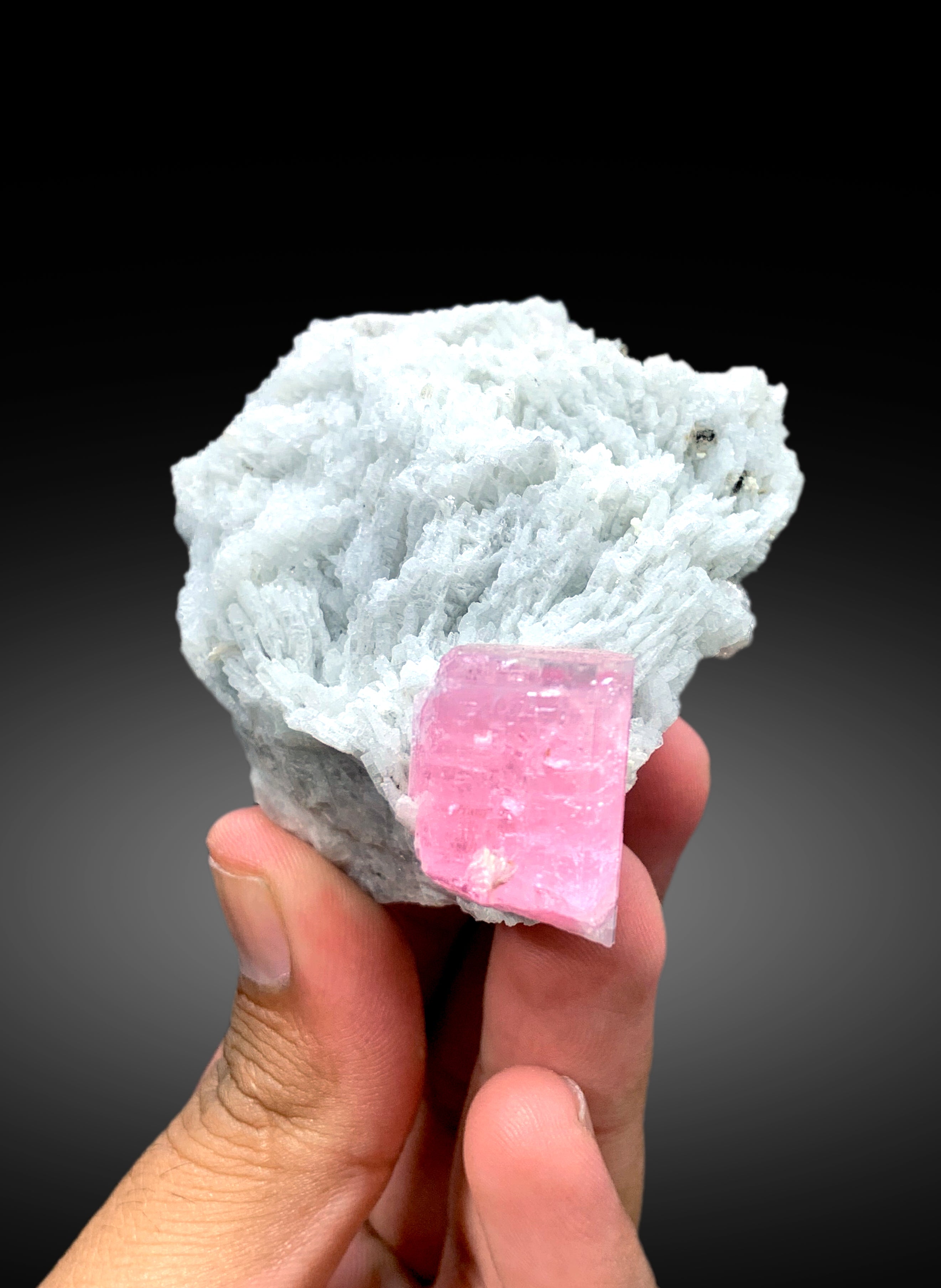 Natural Pink Color Tourmaline with Cleavelandite Albite from Pachigram Afghanistan - 240 gram