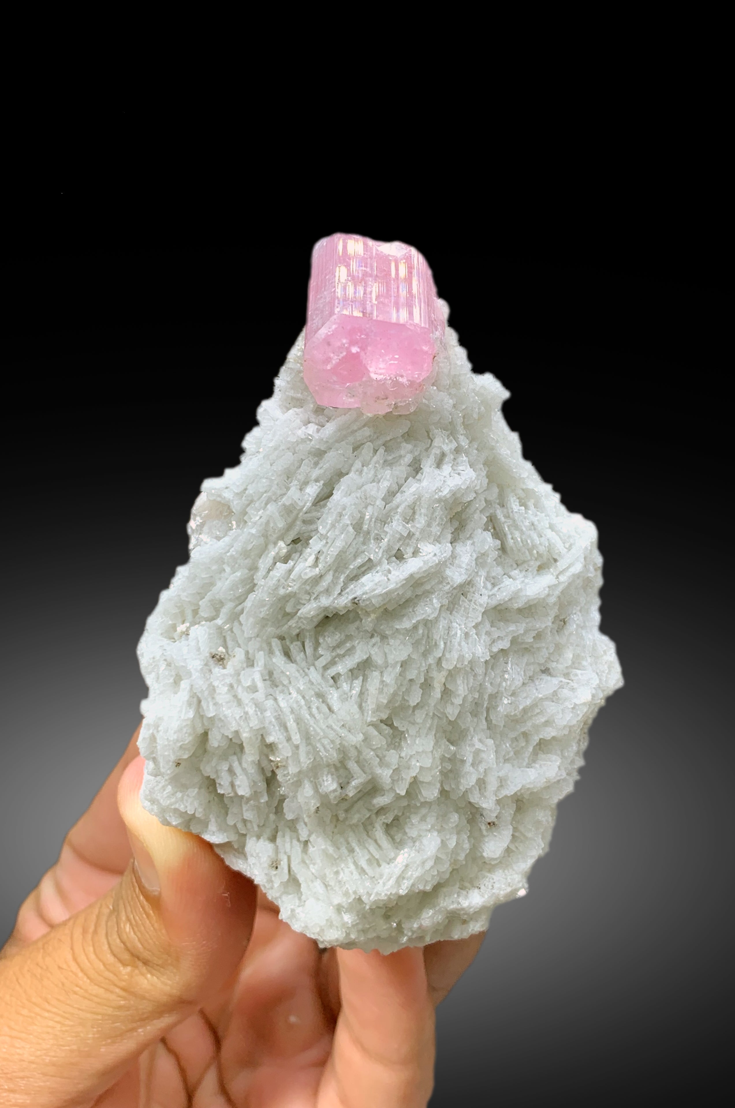 Natural Pink Color Tourmaline with Cleavelandite Albite from Pachigram Afghanistan - 240 gram