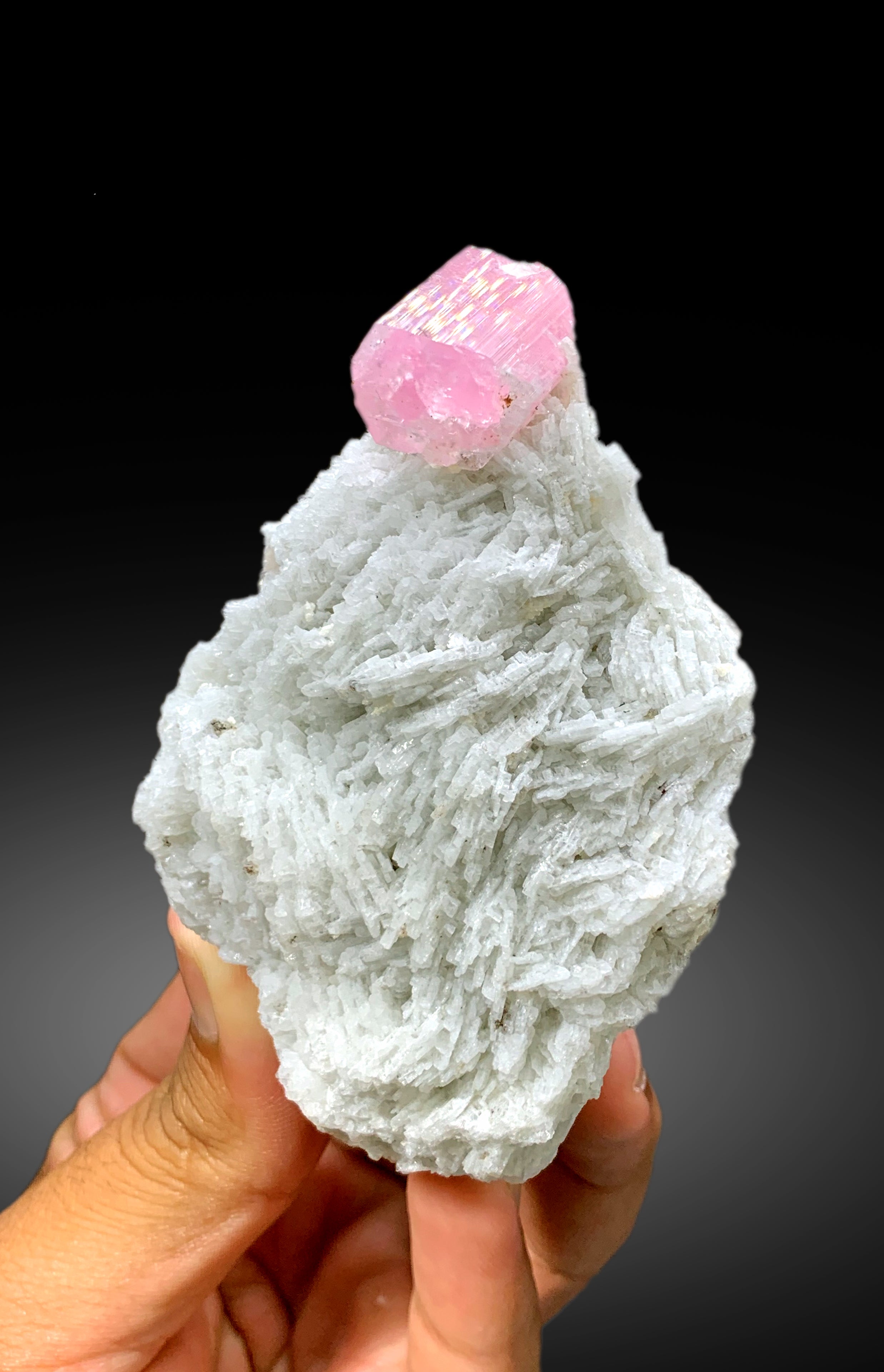 Natural Pink Color Tourmaline with Cleavelandite Albite from Pachigram Afghanistan - 240 gram