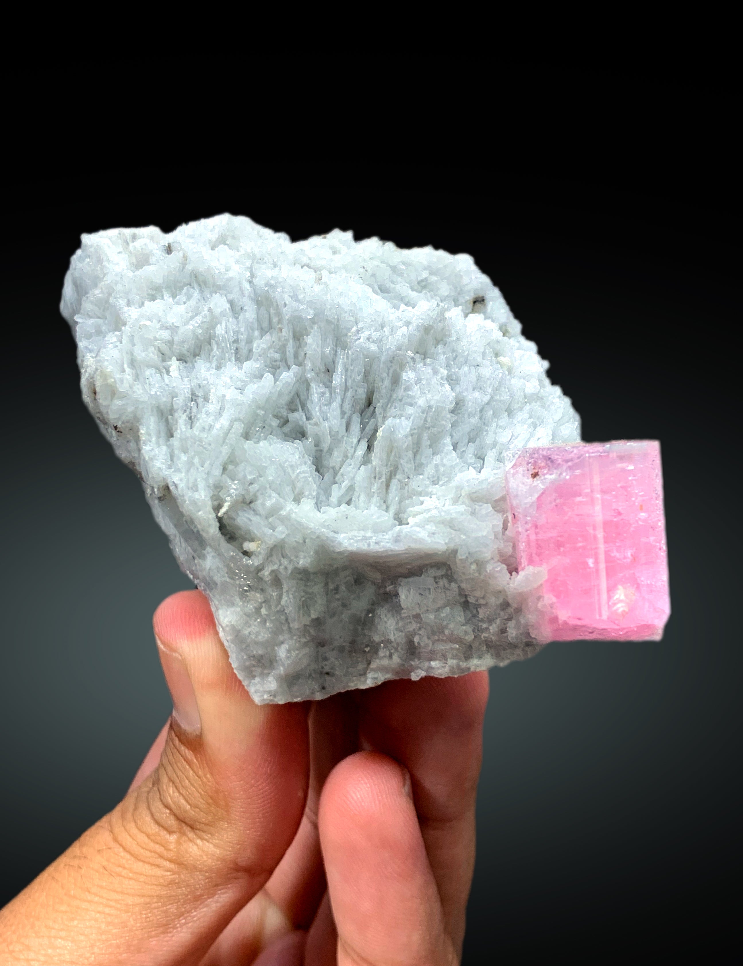 Natural Pink Color Tourmaline with Cleavelandite Albite from Pachigram Afghanistan - 240 gram