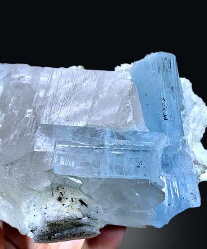 Blue Aquamarine Crystals on Quartz with Schorl Spray from Shigar valley Pakistan - 1066 grams