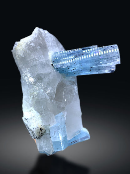 Blue Aquamarine Crystals on Quartz with Schorl Spray from Shigar valley Pakistan - 1066 grams