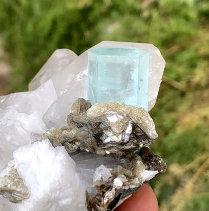 Sky Blue Aquamarine on Quartz from Shigar valley Pakistan - 407 gram