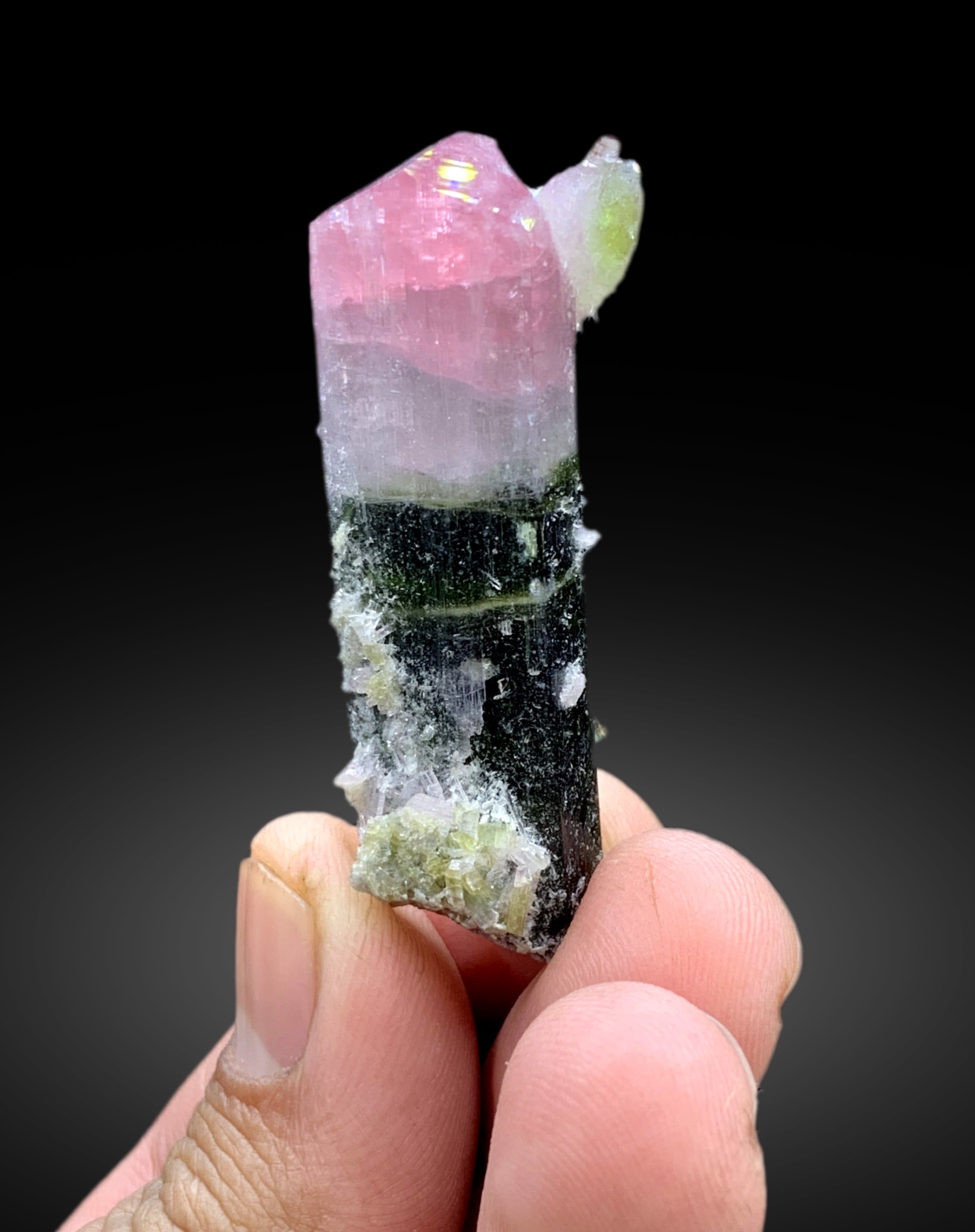 Bicolor Tourmaline Crystal, Tourmaline Specimen, Watermelon Tourmaline, Tourmaline Gemstone, Tourmaline stone, tourmaline for sale, 27 g