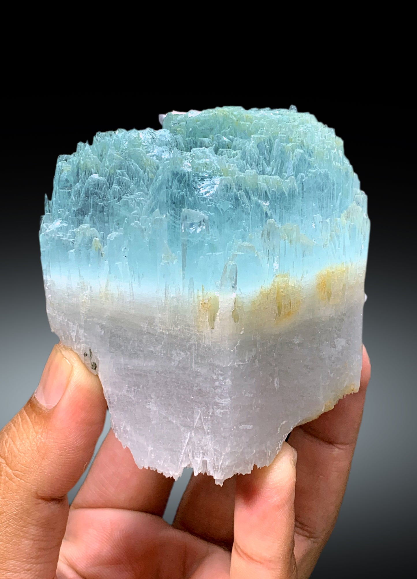 Bicolor Beryl, AquaMorganite Crystal, Morganite var Aquamarine with Etched Terminations, Scepter AquaMorganite Specimen - 419 gram