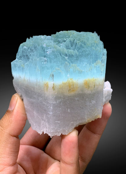 Bicolor Beryl, AquaMorganite Crystal, Morganite var Aquamarine with Etched Terminations, Scepter AquaMorganite Specimen - 419 gram