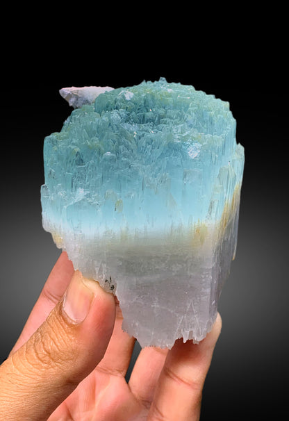 Bicolor Beryl, AquaMorganite Crystal, Morganite var Aquamarine with Etched Terminations, Scepter AquaMorganite Specimen - 419 gram