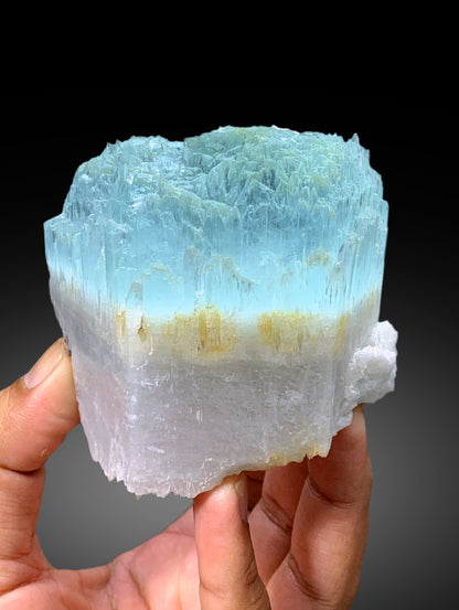 Bicolor Beryl, AquaMorganite Crystal, Morganite var Aquamarine with Etched Terminations, Scepter AquaMorganite Specimen - 419 gram