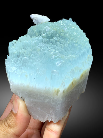 Bicolor Beryl, AquaMorganite Crystal, Morganite var Aquamarine with Etched Terminations, Scepter AquaMorganite Specimen - 419 gram