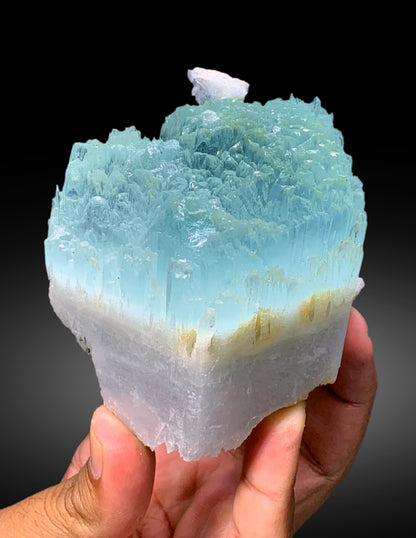 Bicolor Beryl, AquaMorganite Crystal, Morganite var Aquamarine with Etched Terminations, Scepter AquaMorganite Specimen - 419 gram