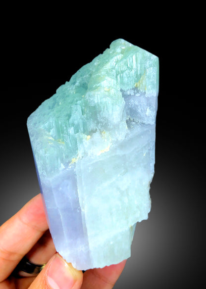 V Shape Terminated Bicolor Kunzite Crystal, Kunzite Specimen, Raw Mineral, Kunzite Crystal from Nuristan Afghanistan - 303 gram